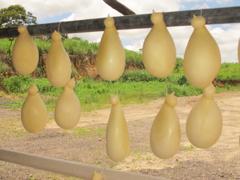 Pedra Azul (14 de 14)
